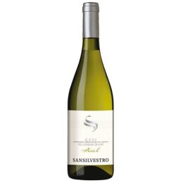 San-Silvestro-Fossili-Gavi-di-Gavi