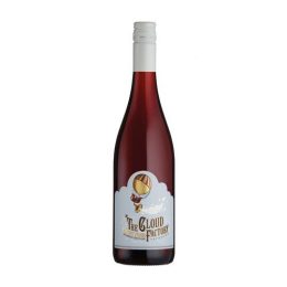 THECLOUDPINOT